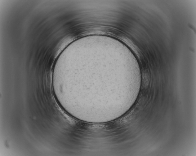 X0000096961290200802291112