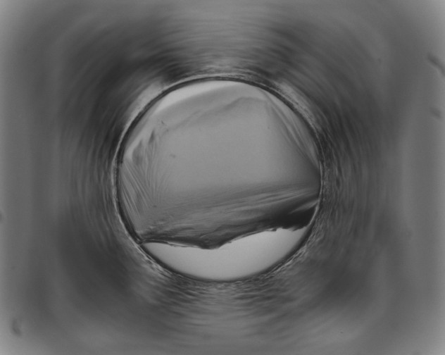 X0000096961291200802291112