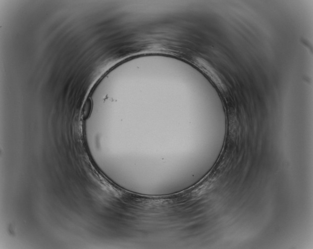 X0000096961292200802291112