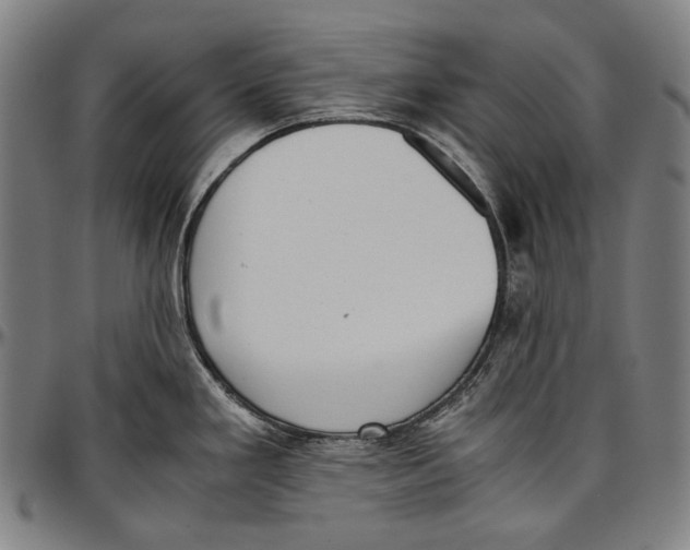 X0000096961293200802291112