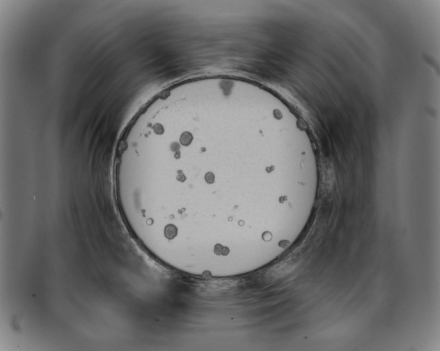 X0000096961294200802291112