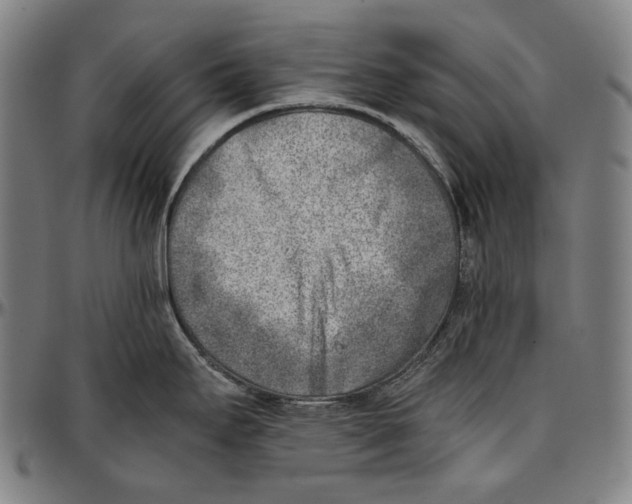 X0000096961295200802291112