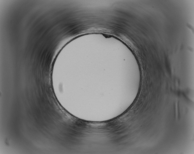 X0000096961296200802291112