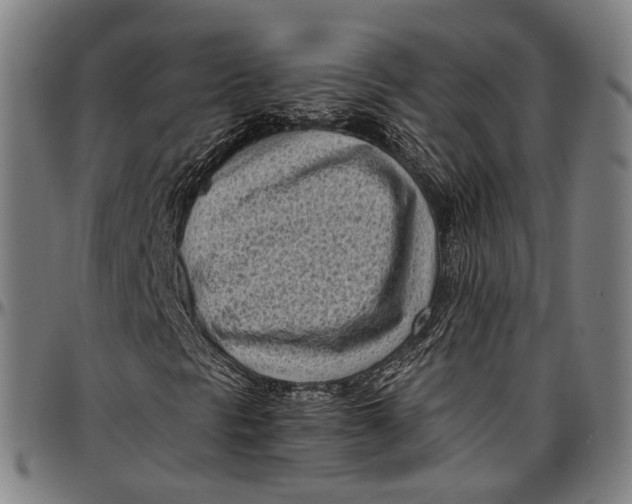 X0000096961297200802291111