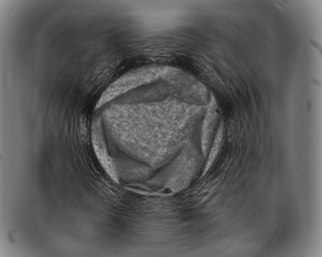 X0000096961298200802291111