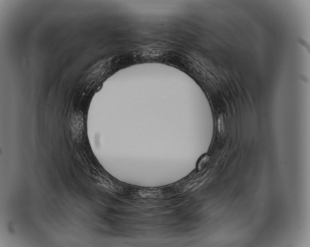 X0000096961299200802291111