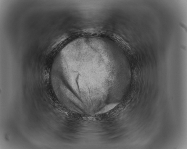 X0000096961302200802291111