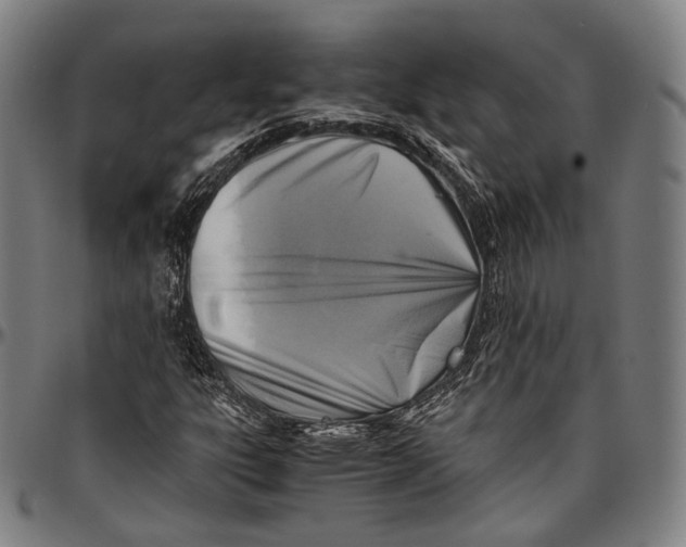 X0000096961303200802291111