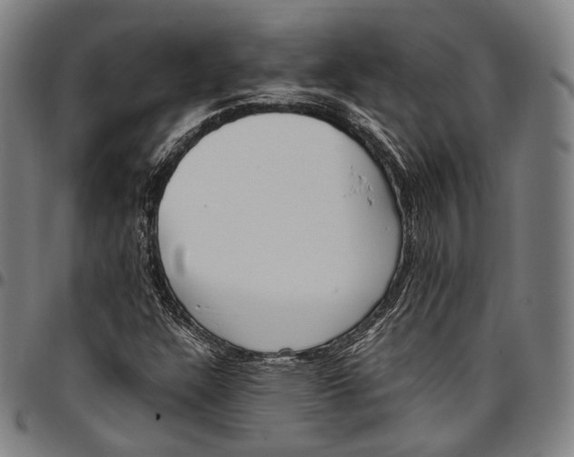 X0000096961304200802291111