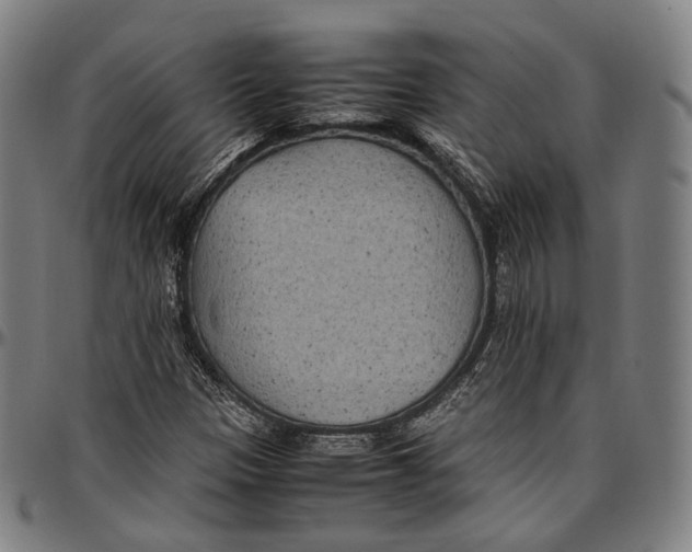 X0000096961305200802291111