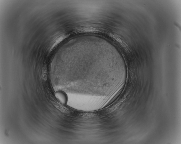 X0000096961306200802291111