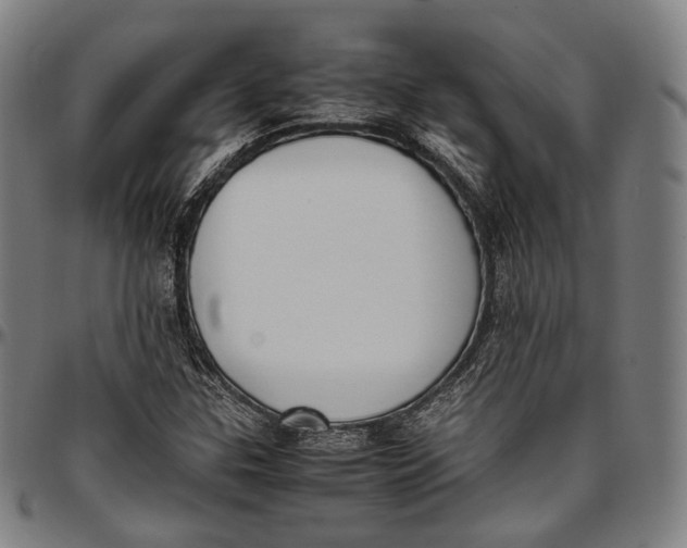 X0000096961307200802291111