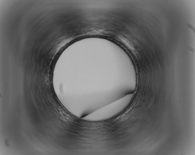 X0000096961308200802291111