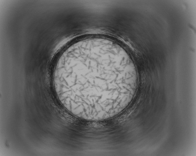 X0000096961311200802291111