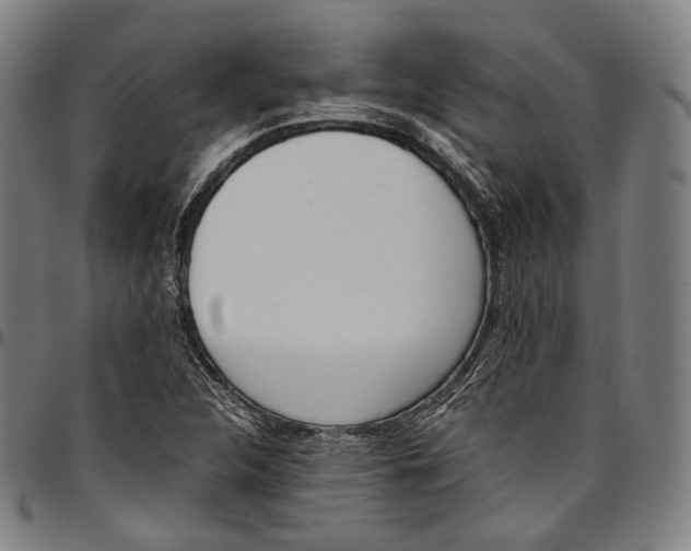 X0000096961312200802291111