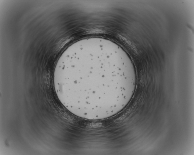 X0000096961313200802291111