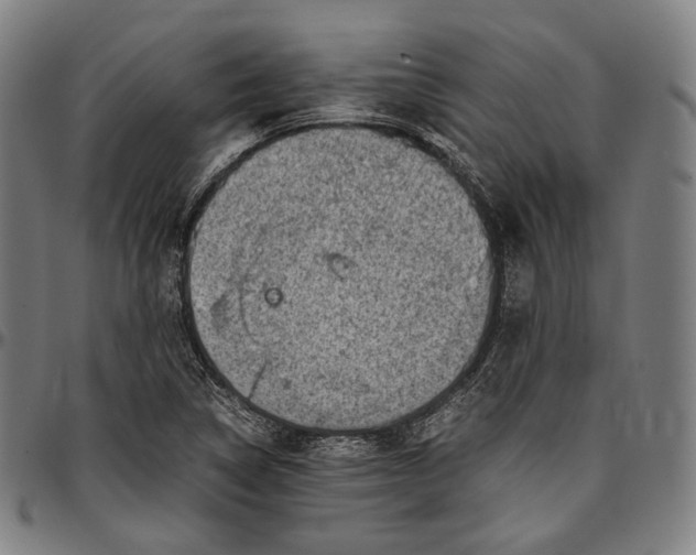 X0000096961314200802291111