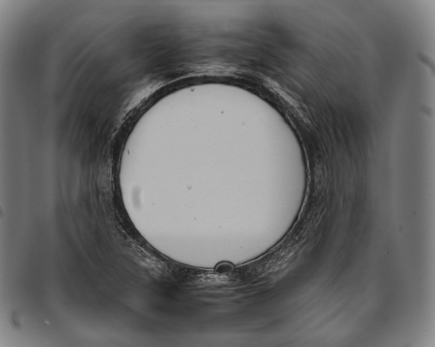 X0000096961315200802291111