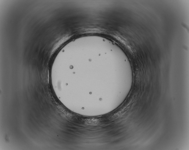 X0000096961317200802291111