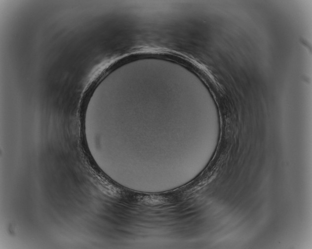 X0000096961319200802291111