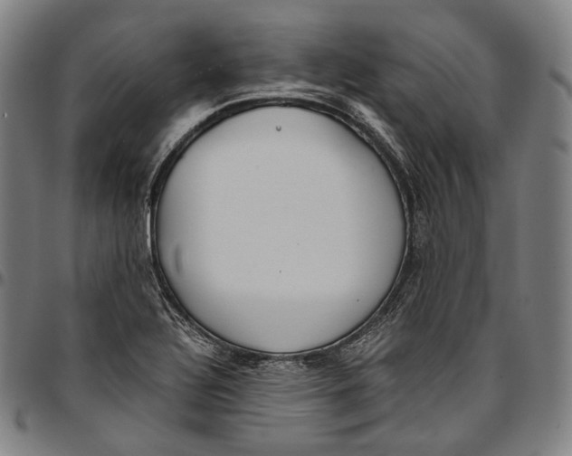 X0000096961320200802291111