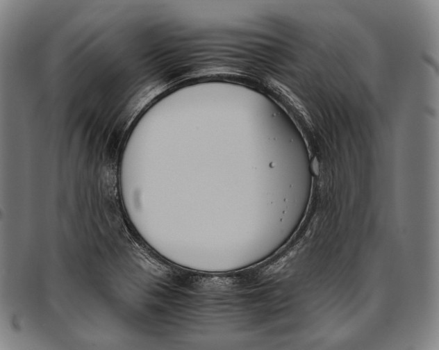 X0000096961321200802291111