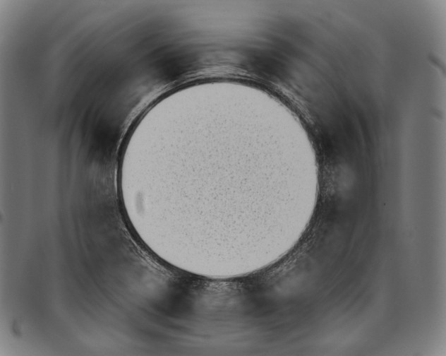 X0000096961322200802291111