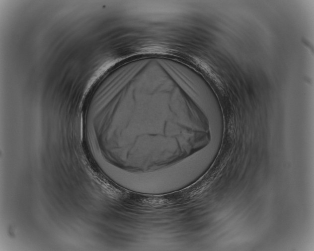 X0000096961323200802291111