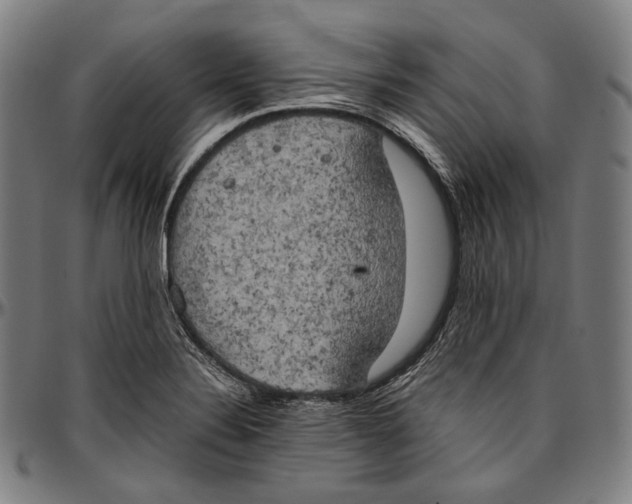 X0000096961324200802291111