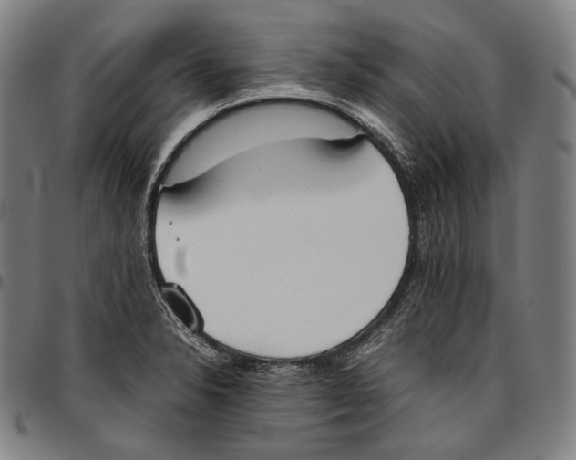 X0000096961326200802291111