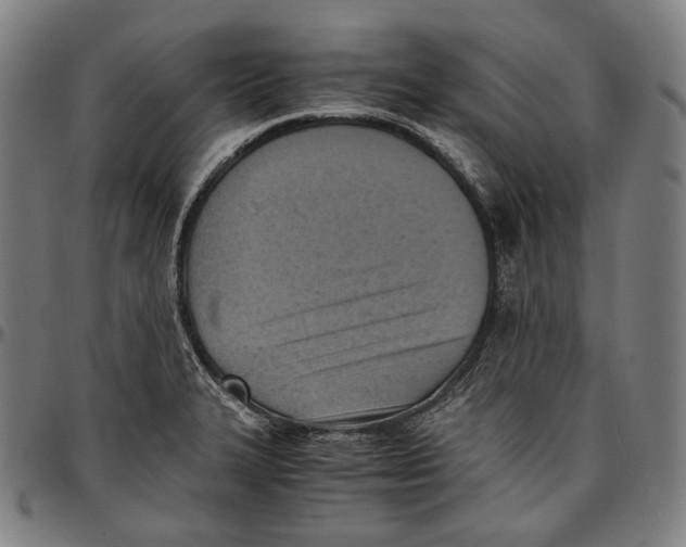 X0000096961327200802291111