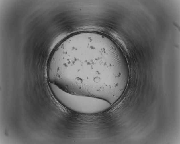 X0000096961328200802291112