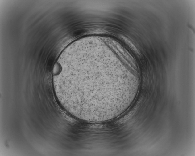 X0000096961329200802291112