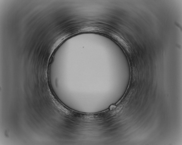 X0000096961330200802291112