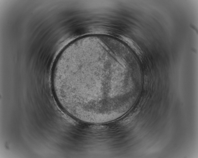 X0000096961331200802291112