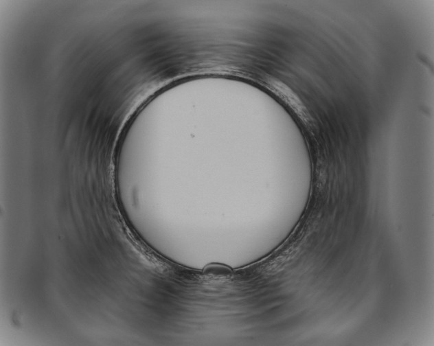 X0000096961332200802291112