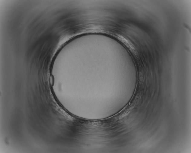 X0000096961334200802291112