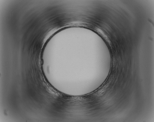 X0000096961336200802291112