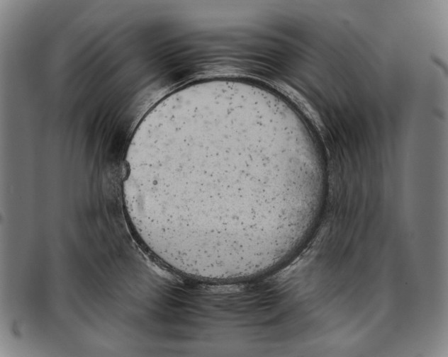 X0000096961337200802291112