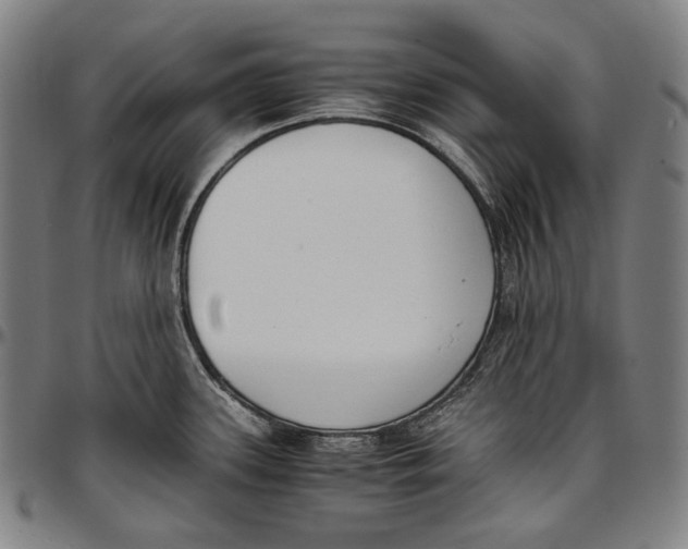 X0000096961339200802291112