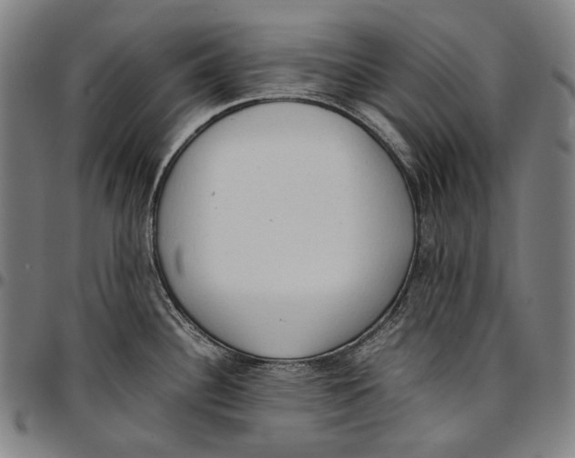 X0000096961340200802291112