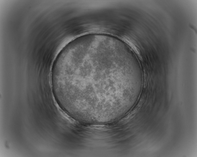 X0000096961342200802291112