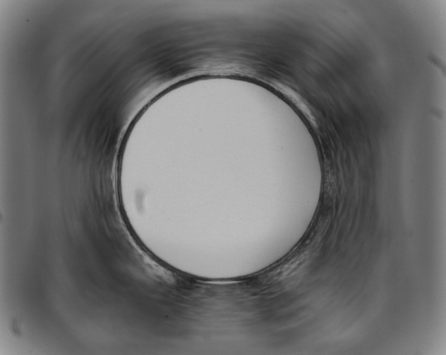 X0000096961343200802291112