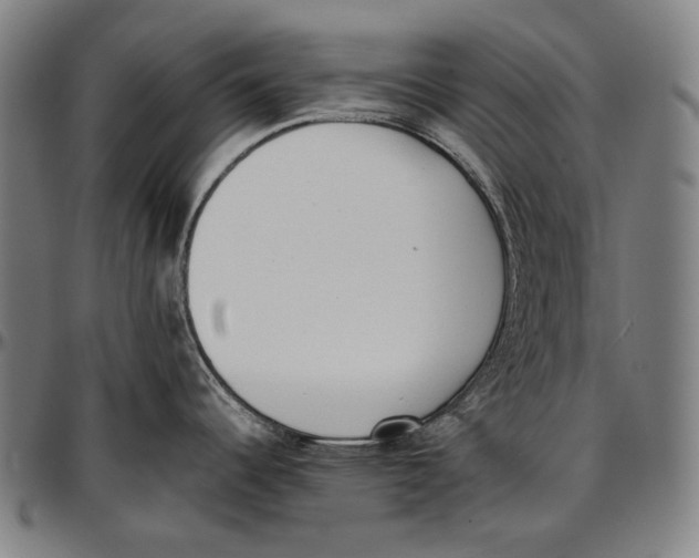 X0000096961344200802291112