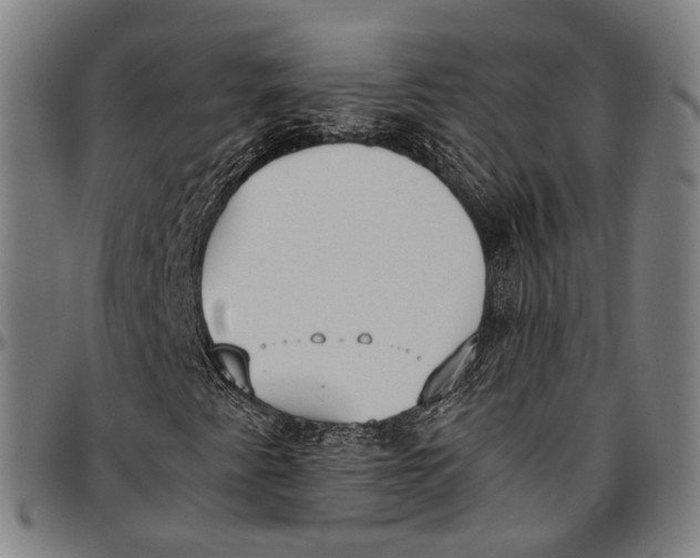 X0000096961345200802291111