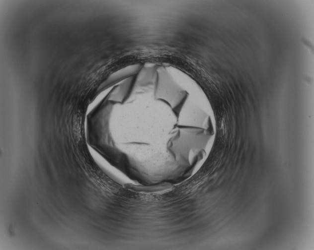 X0000096961348200802291111