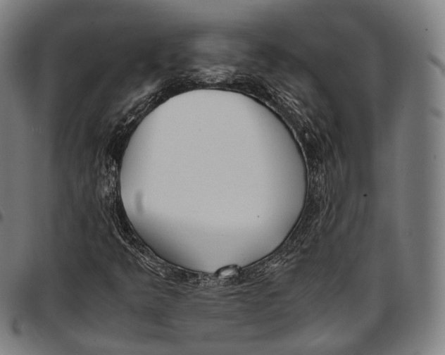 X0000096961349200802291111