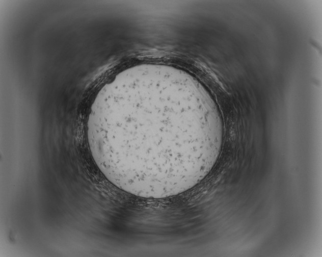 X0000096961350200802291111