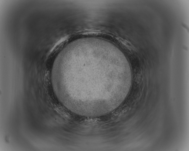 X0000096961351200802291111