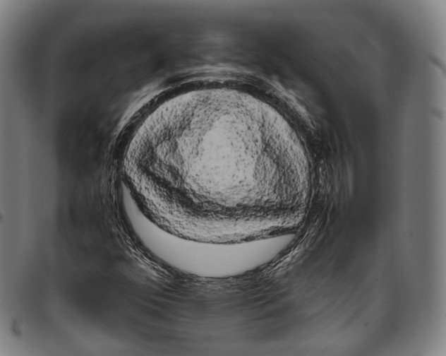 X0000096961352200802291111